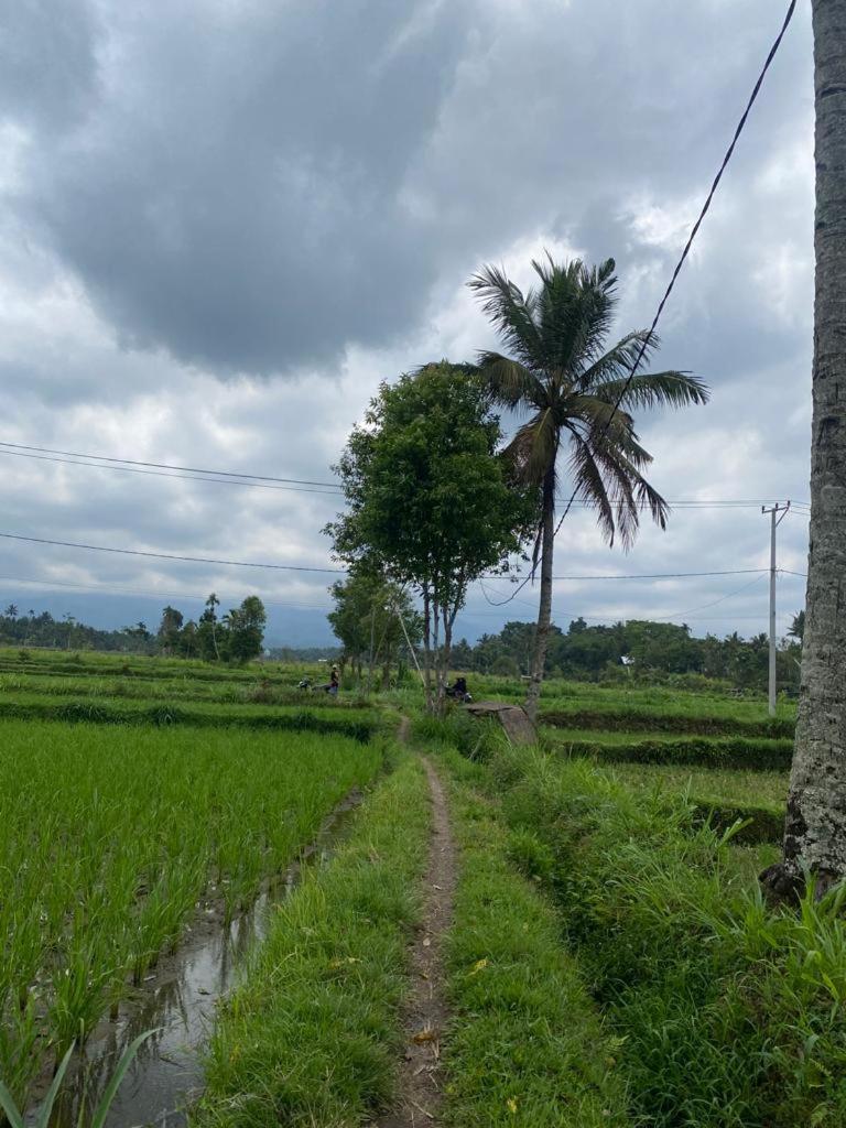 New Rinjani Homestay Tetebatu Quarto foto