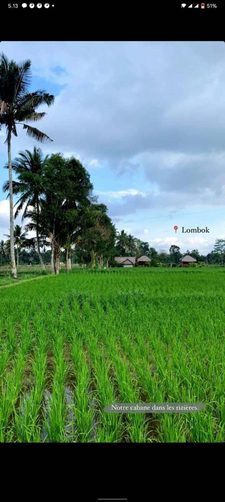 New Rinjani Homestay Tetebatu Quarto foto